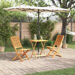 Ensemble de bistro pliable 3 pièces en bois d'acacia massif