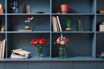 LEGO Botanicals - L'orchidée miniature - Set de construction 10343 pour adultes