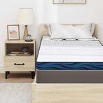 vidaXL Coussins de Matelas Blanc et Bleu 70 x 200 cm