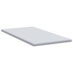 vidaXL Coussins de Matelas Blanc 100 x 200 cm