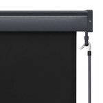 vidaXL Store roulant d'extérieur 120 x 250 cm Anthracite