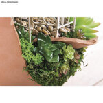Mini Plante Grasse Succulente Artificielle Haworthia 5 x 3 5 cm