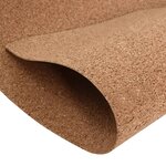 vidaXL Rouleau de liège 100x1000 cm 5 mm
