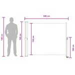 vidaXL Auvent latéral 160 x 300 cm Rectangulaire Anthracite