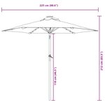 vidaXL Parasol de jardin avec LED mât en acier bordeaux 225x225x212 cm
