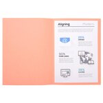 Paquet de 100 chemises Foldyne 250 Rose EXACOMPTA