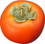 Pièce de monnaie en Cuivre 100 Francs g 400 Millésime 2025 PERSIMMON 3D