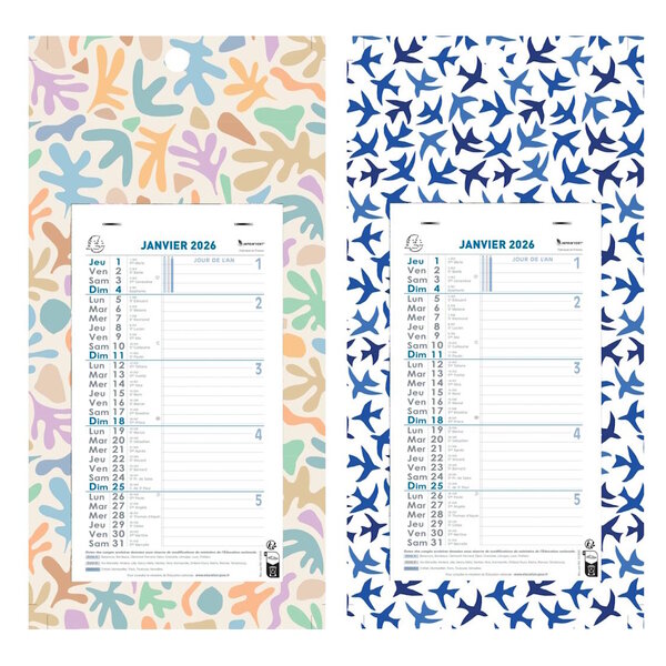 Calendrier Bloc Mensuel Mural 2026 - 16x33cm - Décor aléatoire*