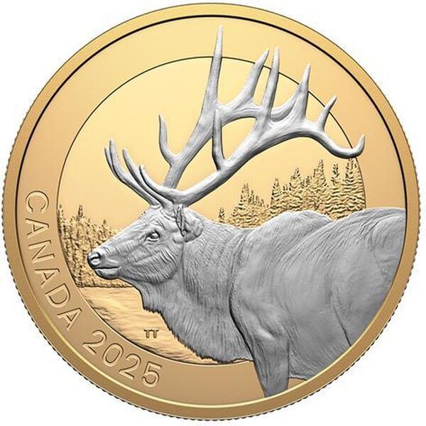 Pièce de monnaie en Argent 20 Dollars g 31.39 Millésime 2025 Animal Portraits ELK