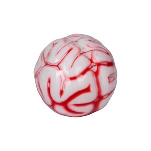 Coppenrath Verlag 16121 - Jouet compressible Cerveau Wild Cool