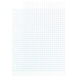 Feuillets mobiles 21x29 7 cm 100 pages grands carreaux bleus 80g CONQUÉRANT