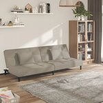 vidaXL Canapé-lit à 2 places avec deux oreillers Gris clair Velours