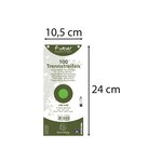 Paquet 100 Fiches Intercalaires Horizontales Unies Perforées Forever - 105x240mm - Vert - X 12 - Exacompta