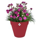 Pot de fleur Loft Urban Rond avec roues - Rouge Ø 48.5 x hauteur 45 cm - Extérieur 100  recyclé