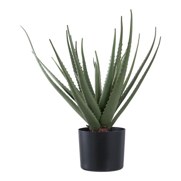 Plante artificielle Aloe Vera verte 51 cm
