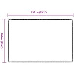 vidaXL Tapis Couloir Gris foncé 100 x 150 cm 100 Polypropylène