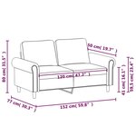 vidaXL Canapé à 2 places Gris clair 120 cm Velours