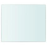 vidaXL Panneau pour étagère Verre transparent 30 x 25 cm