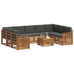vidaXL Ensemble de canapés d'extérieur 10 pc Naturel et Anthracite