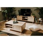 Meuble TV 2 portes 2 tiroirs - Panneaux de particule 15 mm, MDF - Décor chene sonoma - L 150 x P 40 x H 52 cm - BALI