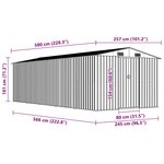 vidaXL Abri de jardin 257x580x181 cm Métal Vert