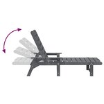 vidaXL Chaise Longue Gris Clair 53x162x98.5 cm HDPE