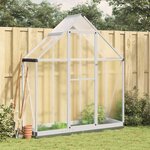 vidaXL Serre avec cadre de base argenté 169x58x202 cm aluminium
