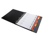 Intercalaires mensuels maxi A4+ en polypropylène, 12 divisions - Assortis