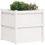 vidaXL Jardinière blanc 70x70x70 cm bois de pin massif