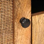 vidaXL Meuble TV Marron 105 x 33 x 46 cm Bois de mangue massif