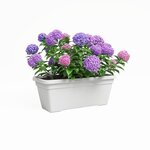 Jardinière VENEZIA L SWS 60 ma - Blanc - 57 5 x 24 5 x 22 5 cm