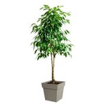 Pot de fleur carré - 39 x 39 x 39 cm - 38 L - Taupe