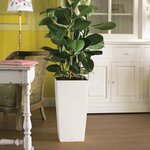 LECHUZA Jardinière Cubico Color 40 ALL-IN-ONE blanc 13150