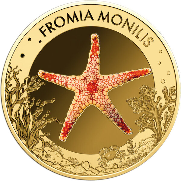 Monnaie RED STARFISH Sea Creatures 1/1000 Oz Or 3000 Francs Chad