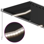 vidaXL Auvent rétractable manuel avec store LED 3 5x2 5 m Anthracite