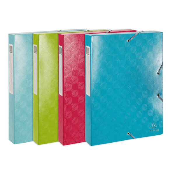 Boite de classement carte lustrée gaufrée pelliculée 1928 - dos de 40mm - a4 - x 8 - exacompta