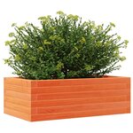 vidaXL Jardinière cire marron 70x40x23 cm bois de pin massif