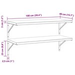 vidaXL Étagères murales 2 Pièces 100x40 cm argenté acier inoxydable
