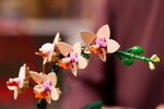LEGO Botanicals - L'orchidée miniature - Set de construction 10343 pour adultes