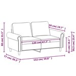 vidaXL Canapé à 2 places Gris foncé 120 cm Velours