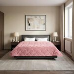 vidaXL Duvet d'hiver Rose 200 x 200 cm Microfibre et polaire Teddy