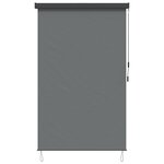 vidaXL Store enrouleur Gris clair 120 x 250 cm Tissu et Aluminium