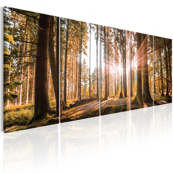 Tableau - beauty of nature l x h en cm 200x80