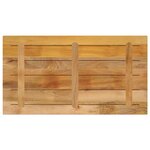 vidaXL Dessus de table rectangulaire bois massif de manguier brut