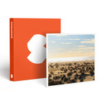 SMARTBOX - Coffret Cadeau Balade aérienne de 45 min sur la côte méditerranéenne à Montpellier -  Sport & Aventure