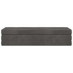 vidaXL Canapé-lit pliable 180 x 67 x 45 cm Gris foncé