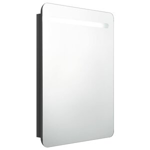 vidaXL Armoire de salle de bain à miroir LED noir brillant 60x11x80 cm