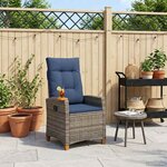 vidaXL Chaise inclinable avec plateau à thé 62 x 64 x 112 cm polyrotin