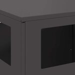 vidaXL Braise Noir 50 x 50 x 100 cm Acier laminé à froid