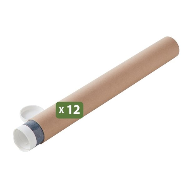 Pack and Move - Lot 12 tubes pour expédition et emballage - 0.6x50cm - Pour affiche et poster - Avec capuchon